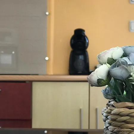 Slow M'ocean Kamp alanı