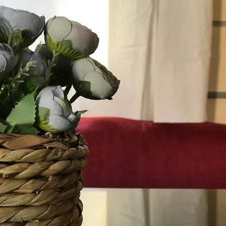 Slow M'ocean Campeggio Pataias