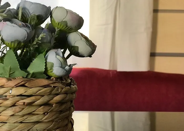 Slow M'ocean Camping Pataias